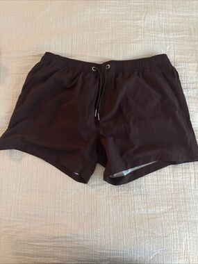 NEW Men's Vacay Brown Swim Trunks Large